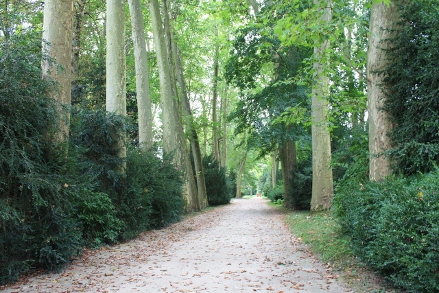 unknownの写真の写真