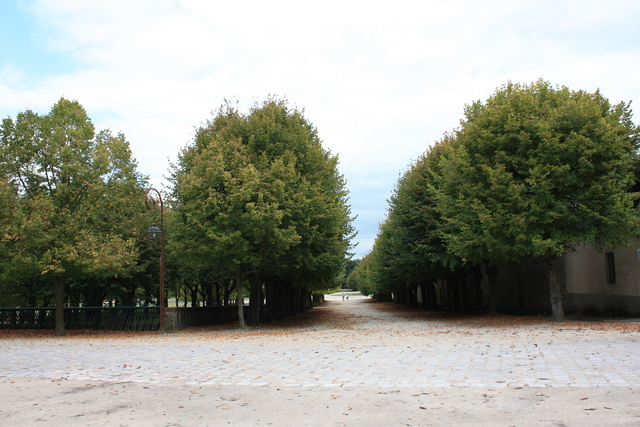 unknownの写真の写真