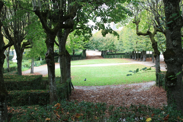 unknownの写真の写真