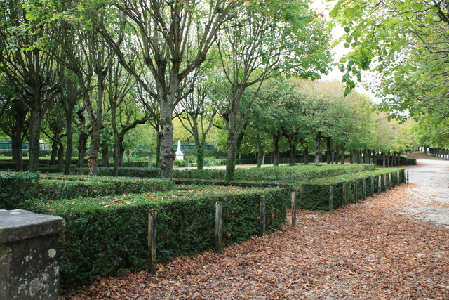 unknownの写真の写真