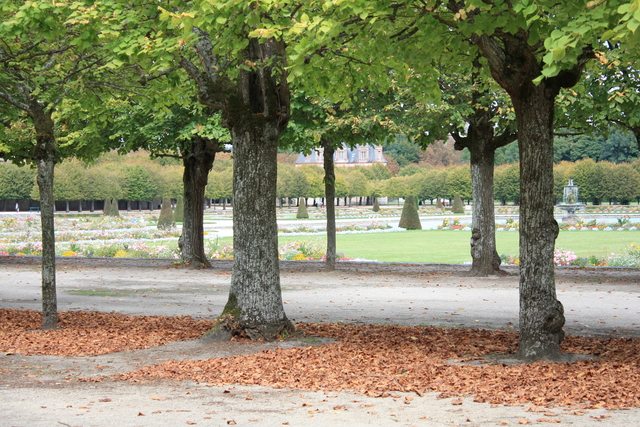 unknownの写真の写真