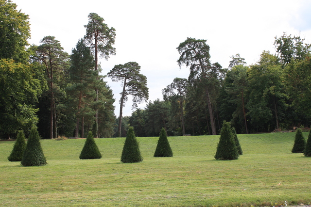 unknownの写真の写真