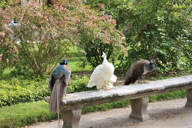 unknownの写真の写真