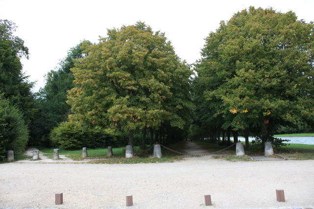 unknownの写真の写真