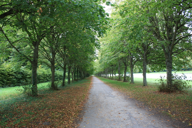 unknownの写真の写真