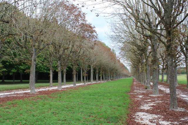 unknownの写真の写真