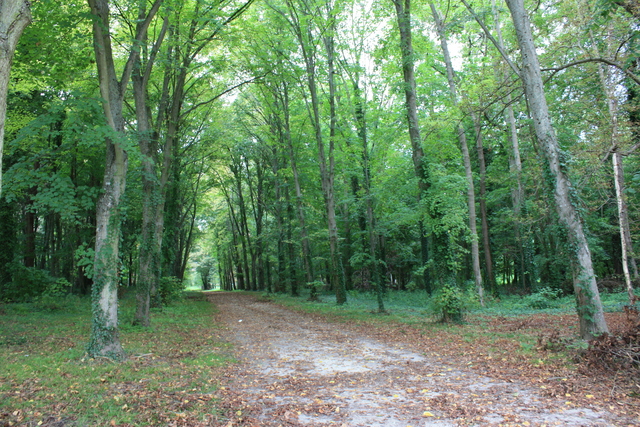 unknownの写真の写真