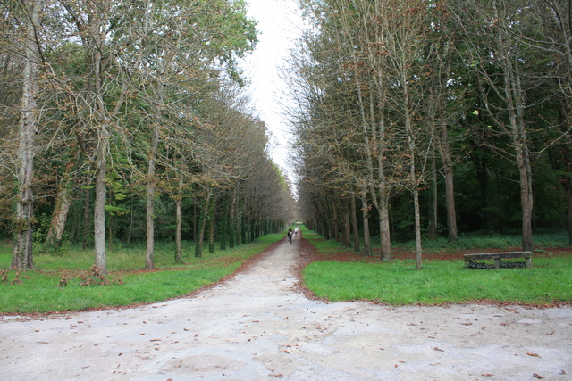 unknownの写真の写真