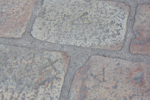 unknownの写真の写真