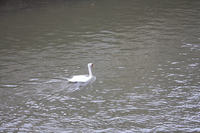 unknownの写真の写真