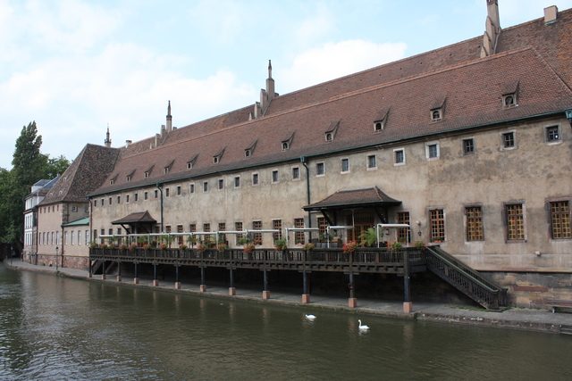 unknownの写真の写真