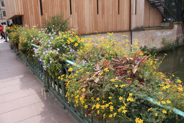 unknownの写真の写真