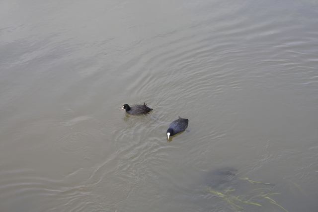 unknownの写真の写真