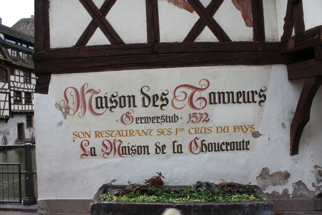 unknownの写真の写真