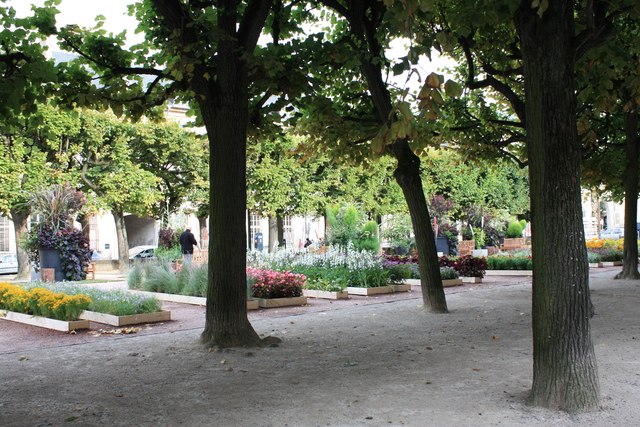 unknownの写真の写真