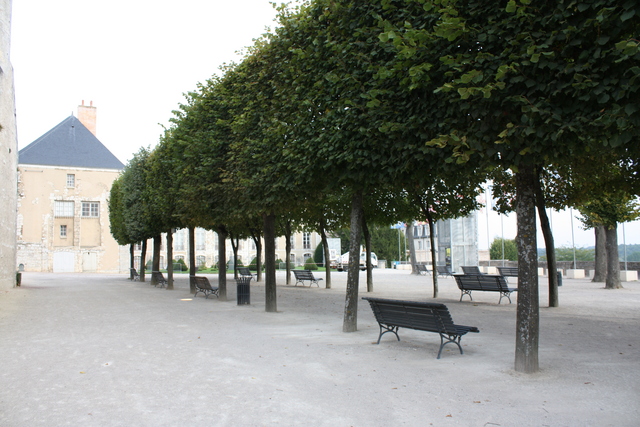 unknownの写真の写真