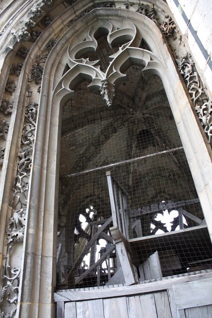 unknownの写真の写真