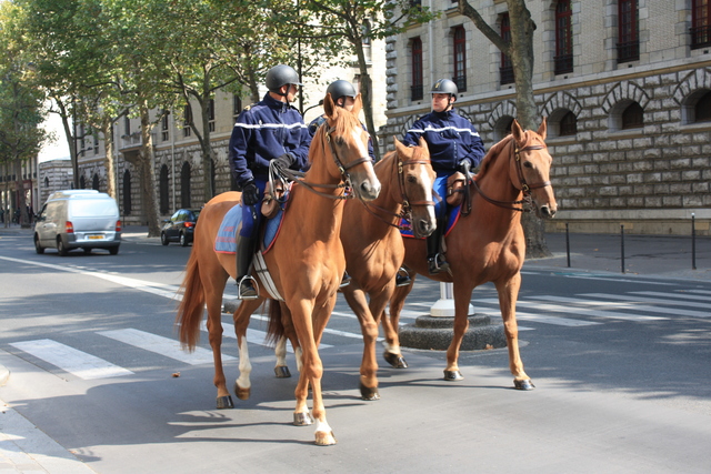 パリ・セレスティン(Célestins)の騎兵の写真の写真