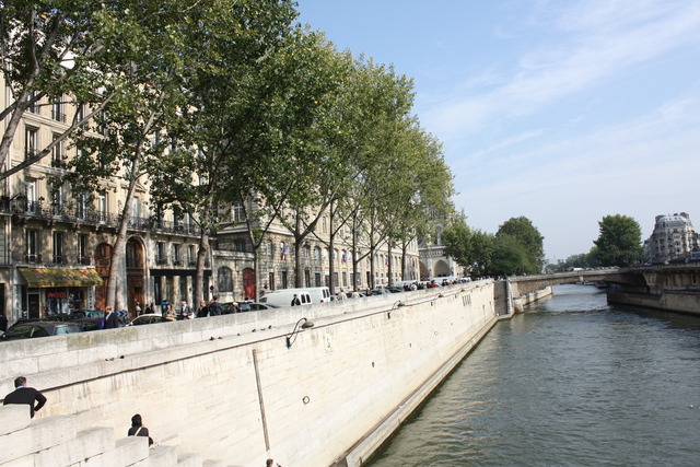 パリ・サン・ミッシェル橋から見たマルシェ・ヌフ通りの街並みの写真の写真