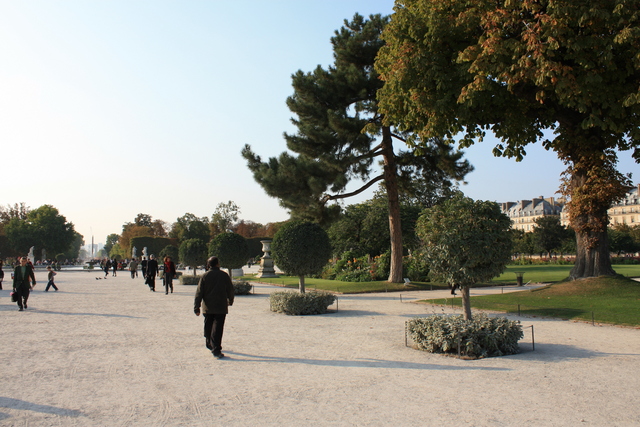 パリ・チュイルリー公園の写真の写真