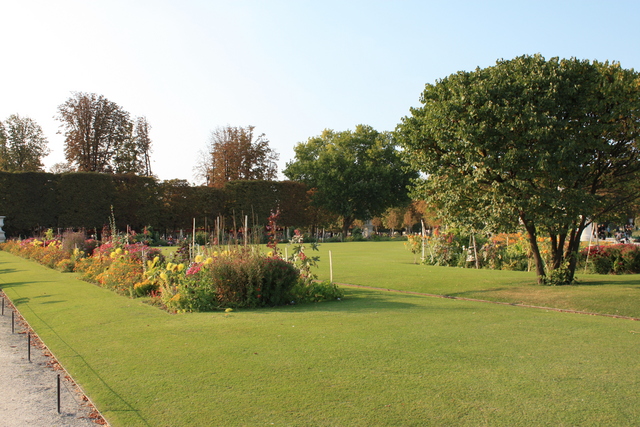 パリ・チュイルリー公園の写真の写真