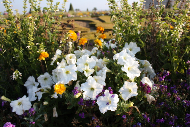 unknownの写真の写真