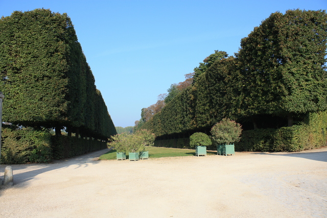 unknownの写真の写真