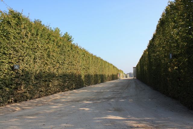 unknownの写真の写真