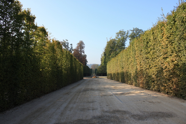 unknownの写真の写真