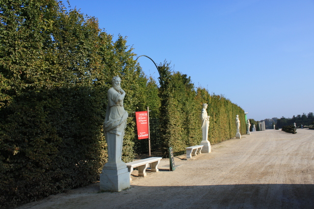 unknownの写真の写真