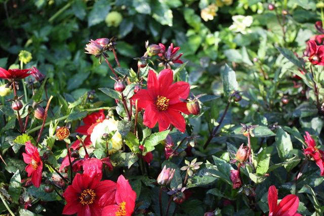 unknownの写真の写真