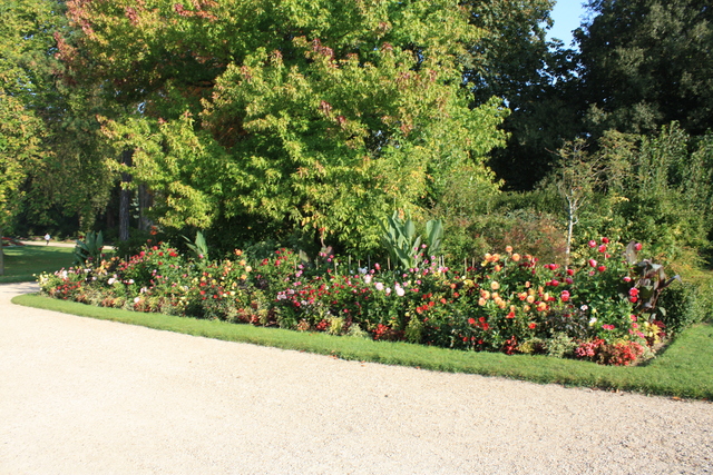 unknownの写真の写真