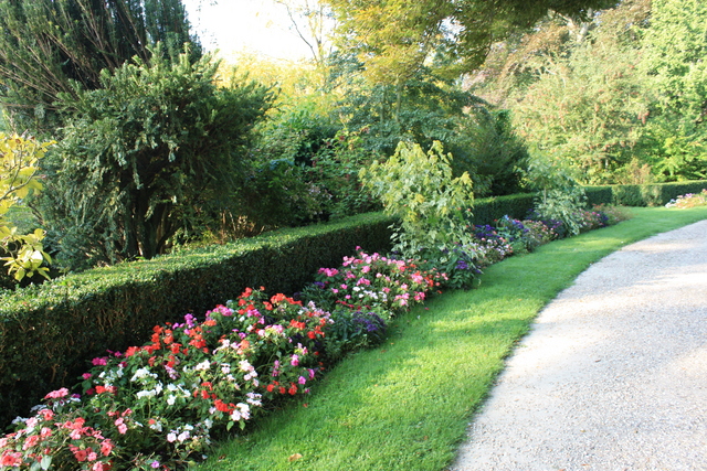 unknownの写真の写真