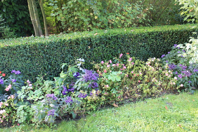 unknownの写真の写真