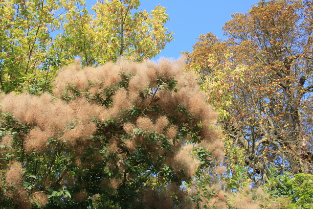 unknownの写真の写真