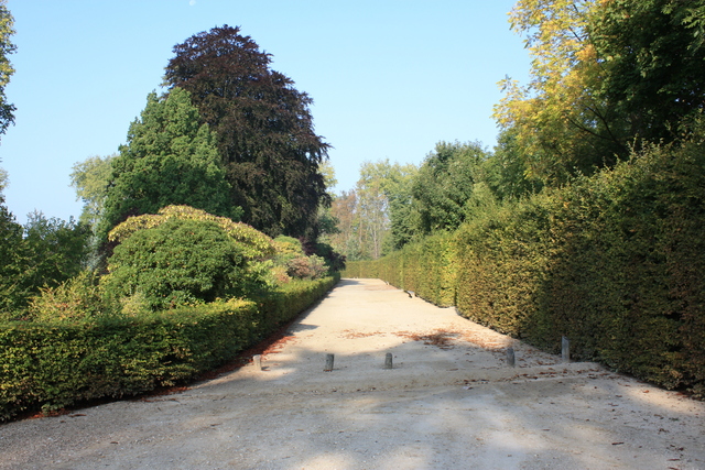 unknownの写真の写真