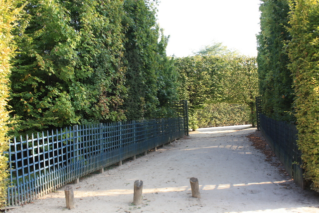 unknownの写真の写真