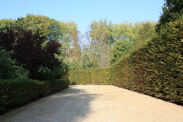 unknownの写真の写真