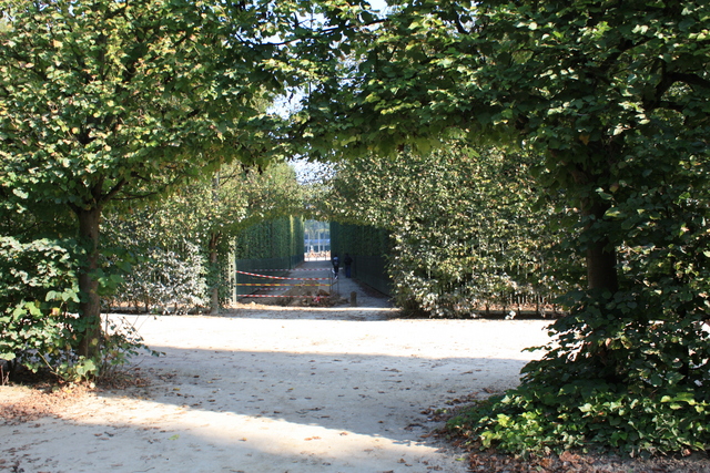 unknownの写真の写真