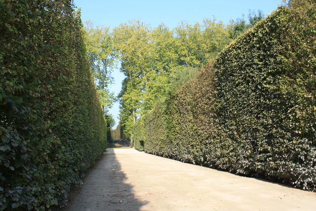 unknownの写真の写真