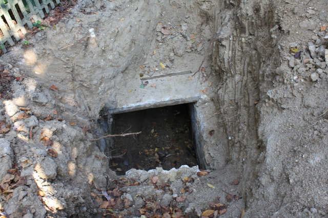 unknownの写真の写真