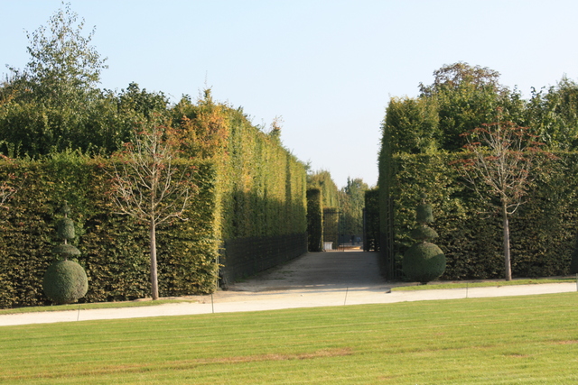 unknownの写真の写真