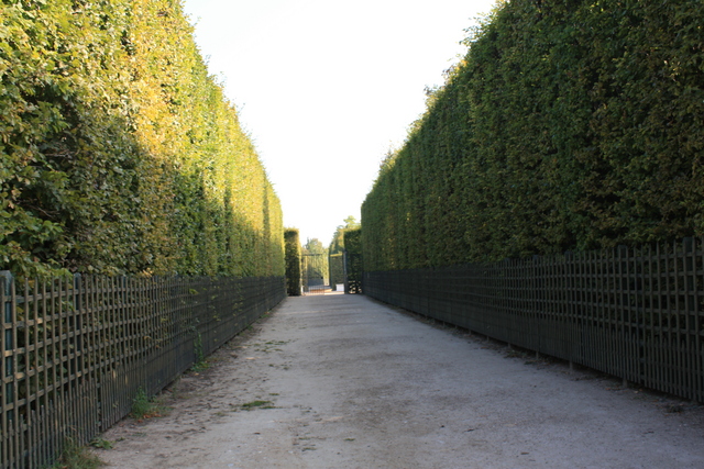 unknownの写真の写真