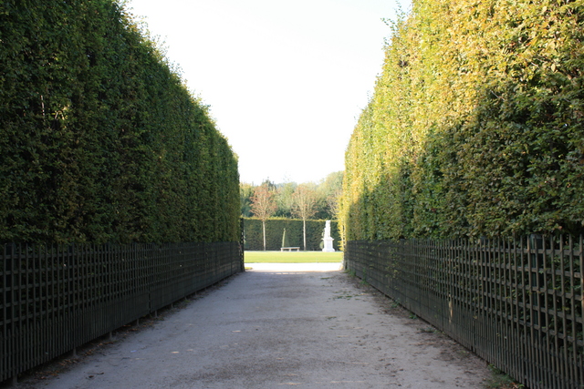 unknownの写真の写真