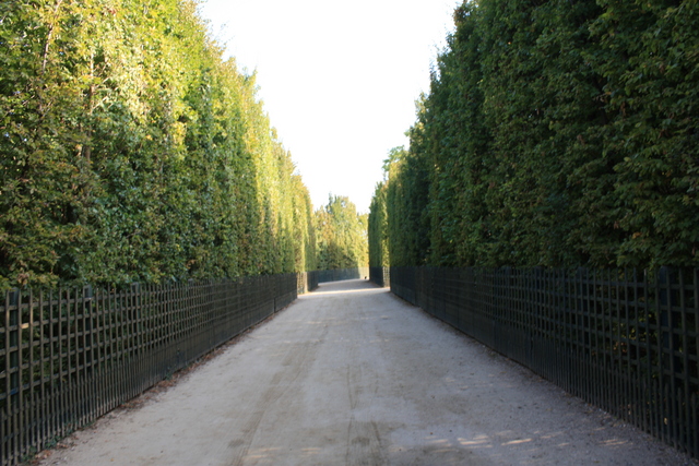 unknownの写真の写真