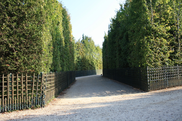 unknownの写真の写真