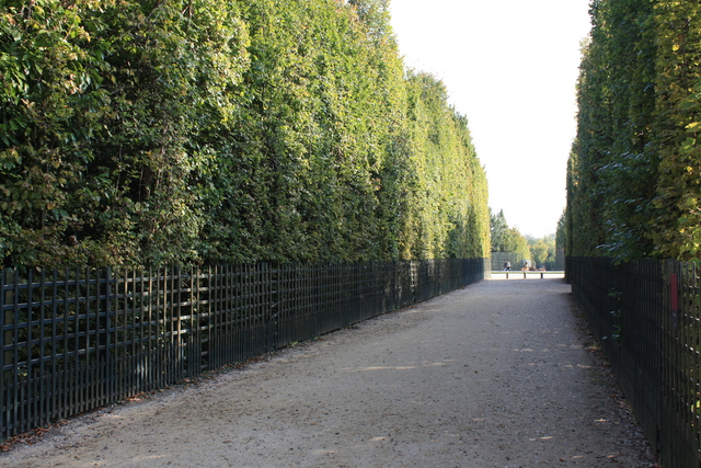 unknownの写真の写真