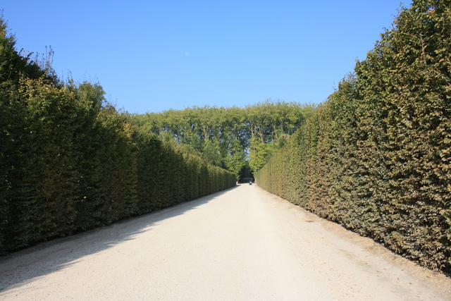 unknownの写真の写真