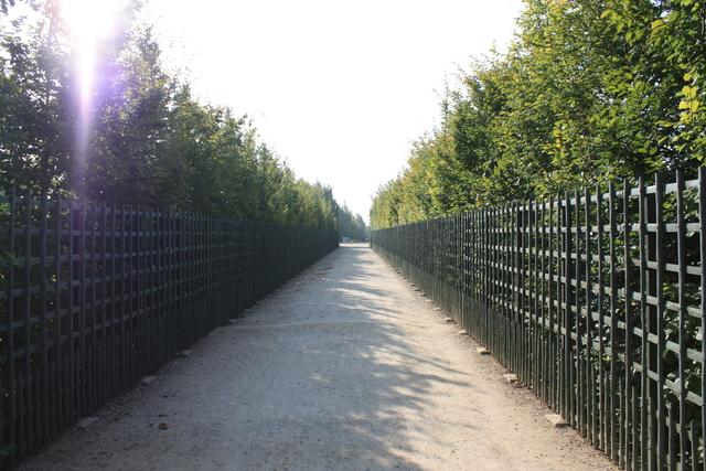 unknownの写真の写真