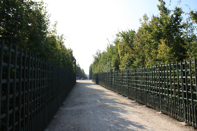 unknownの写真の写真